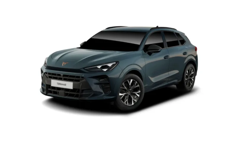Cupra Terramar 1.5 e-hybrid Business 204cv dsg a noleggio a lungo termine a Rozzano